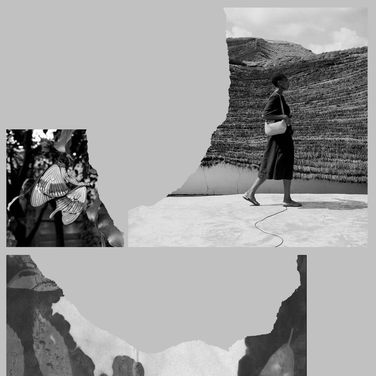 Journées photographiques de Bienne / Bieler Fototage